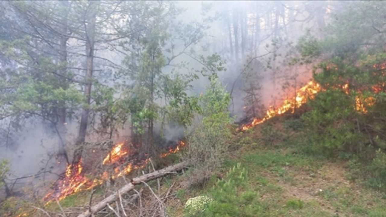 Bolu'da çıkan orman yangını kontrol altında