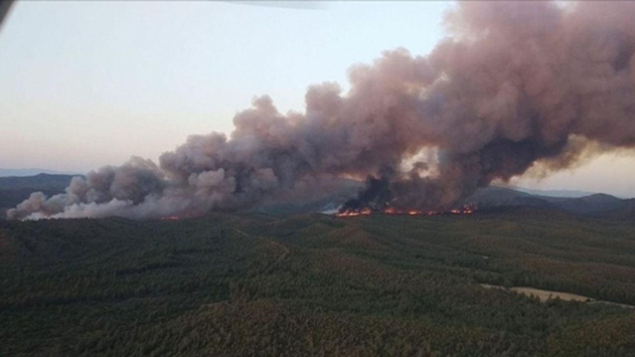 Muğla'nın Marmaris ilçesinde orman yangını