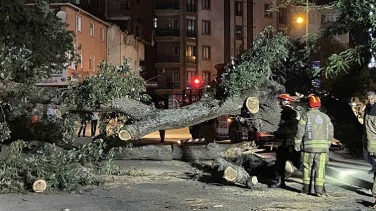Sancaktepe'de metro inşaatına ağaç devrildi