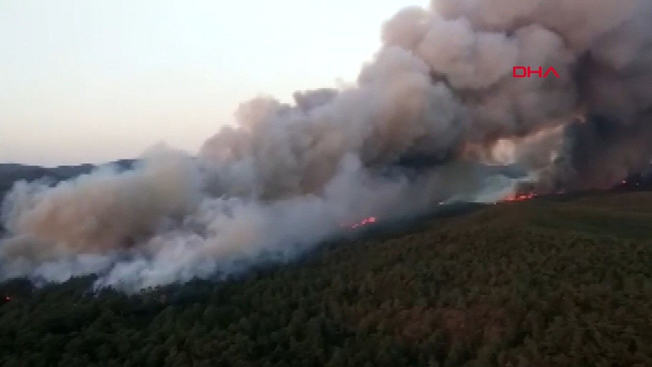 Marmaris’te orman yangını çıktı!