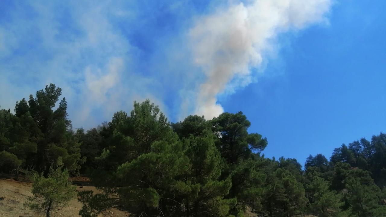 Antalya Kaş'da orman yangını! Havadan ve karadan müdahale ediliyor