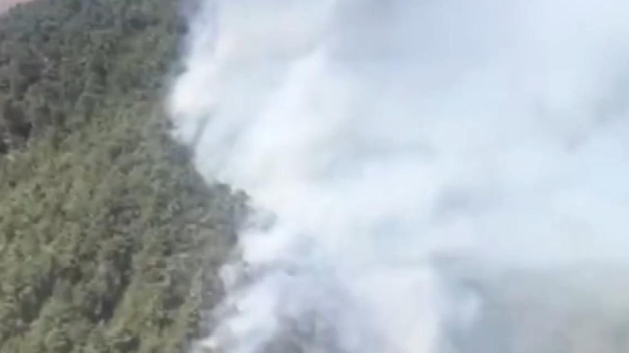 Kahramanmaraş'ta orman yangını! Müdahale ediliyor