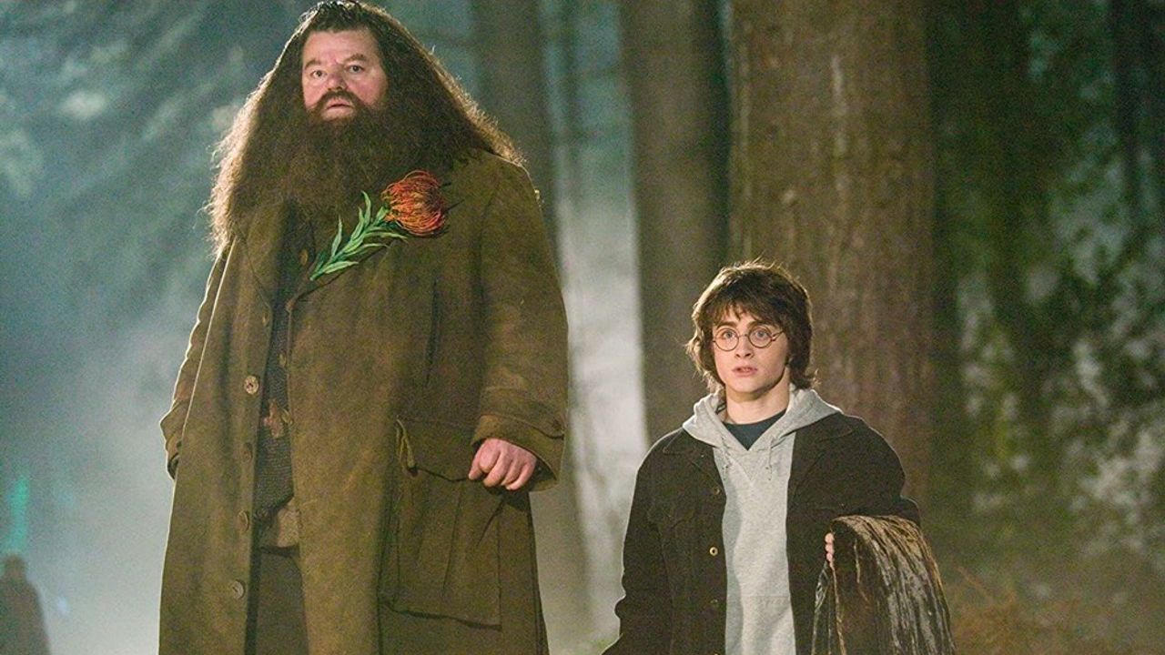 Harry Potter'ın ünlü oyuncusu hayatını kaybetti