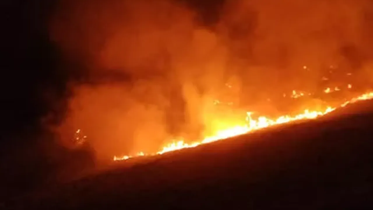Muğla Bodrum'da korkutan yangın!