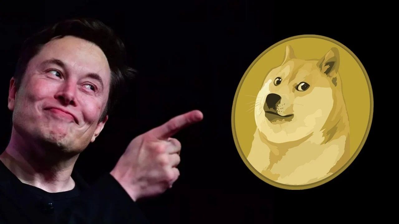 Twitter'ın kuş logosu köpek logosuna döndü! Elon Musk ne yapmaya çalışıyor?