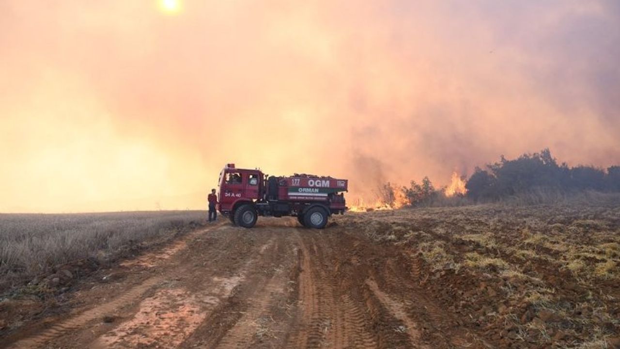 Edirne Malkara'daki orman yangını söndürüldü