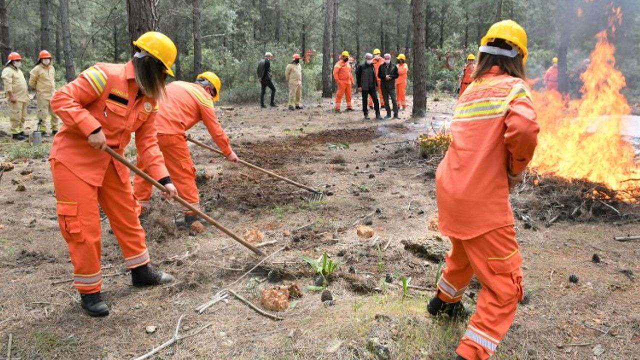 Orman yangınları yüzde 90 insan kaynaklı