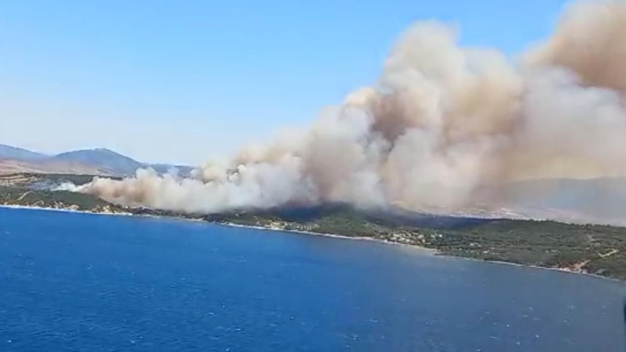 İzmir'de orman yangını! Havadan ve karadan müdahale ediliyor