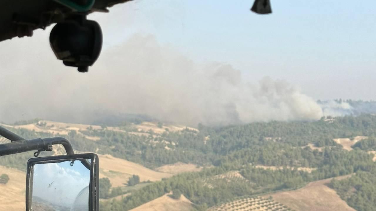 Adana'da orman yangını meydana geldi