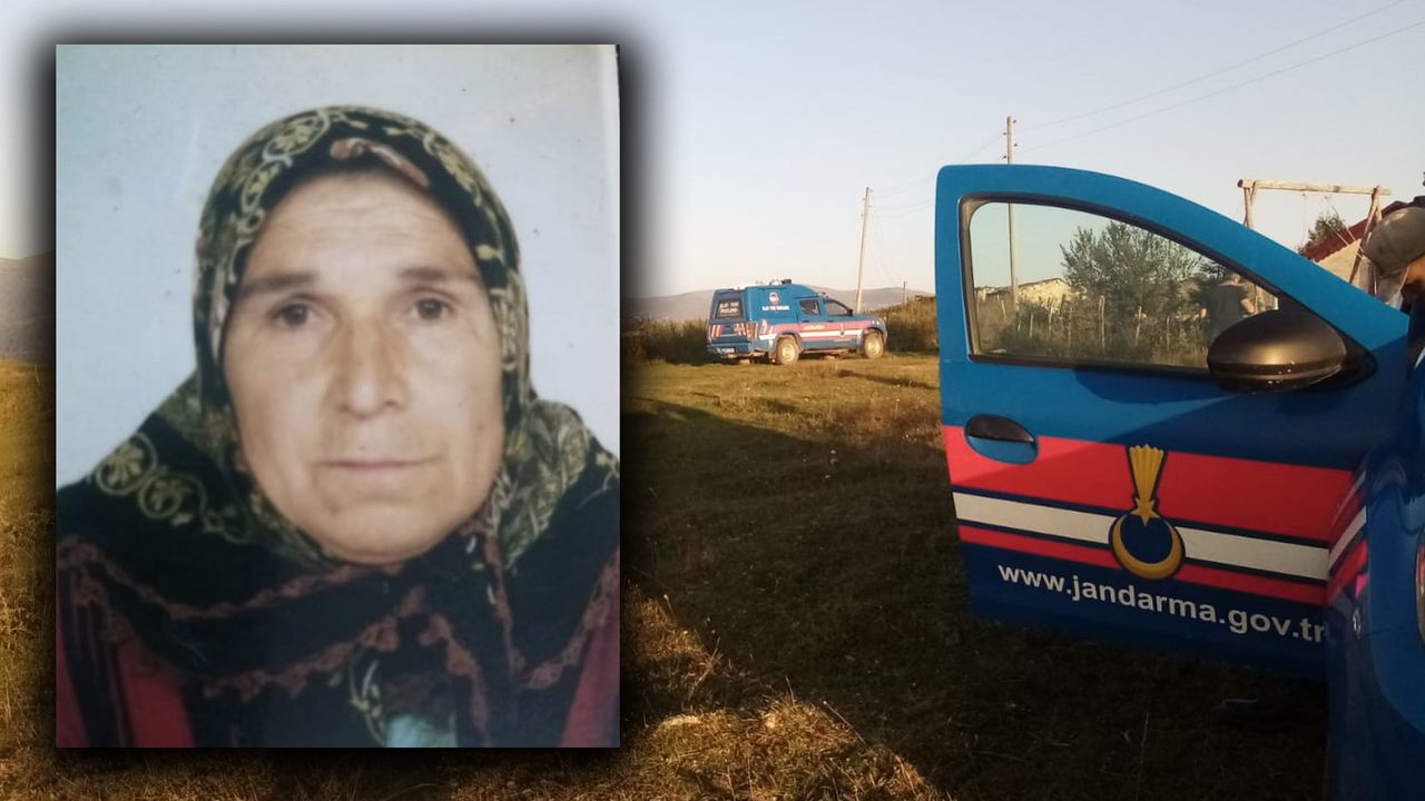 Ordu Kabadüz'de büyükbaş hayvanın saldırısına uğrayan 74 yaşındaki kadın hayatını kaybetti