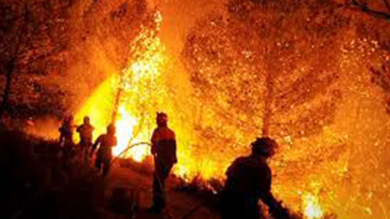 İspanya'da orman yangını nedeniyle 600 kişi tahliye edildi
