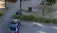 Sokak köpeğine sahip çıkan adamın videosu viral oldu