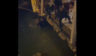 İstanbul Arnavutköy'de bir restoranın iskelesi çöktü! Bazı müşteriler denize düştü