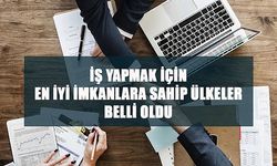 İş yapmak için en iyi imkanlara sahip ülkeler belli oldu