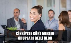 Cinsiyete Göre Meslek Grupları Belli Oldu