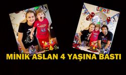 Didem Uzel'in oğlu Aslan 4 yaşına bastı