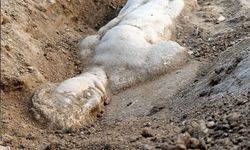 Kültür ve Turizm Bakanlığı duyurdu! İzmir'de heyecanlandıran buluş