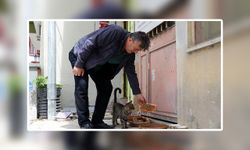 Merzifonlu Veteriner sokak hayvanları için öyle bir şey yaptı ki...