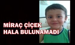 Miraç Çiçek'i arama çalışmalarına devam ediliyor