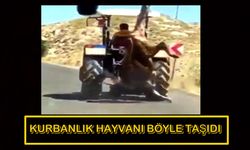 Sosyal medyada infial uyandıran kurbanlık görüntüsü