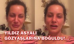 Yıldız Asyalı'nın sosyal medyadaki köpek kavgası büyüyor