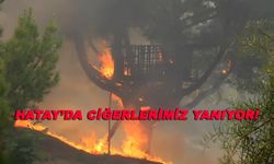 Hatay'daki yangın yerleşim yerlerine sıçradı! İşte son durum...