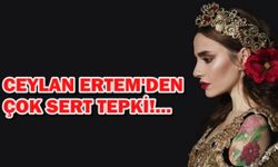 Ceylan Ertem: İzin vermeyelim o pis kokan ağızlarını açmalarına!