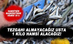Giresun'da hamsinin kilosu 35 TL'den satılıyor!