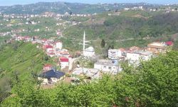 Giresun'da vaka artınca bir mahalle daha karantinaya alındı!