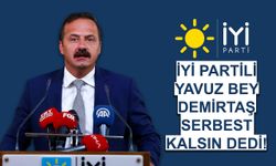 İyi Partili Yavuz Ağıralioğlu, Selahattin Demirtaş'a destek çıktı!