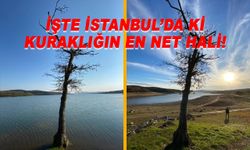 İşte İstanbul'da yaşanan kuraklığın boyutu