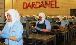 Dardanel kamuoyu açıklaması yaptı ve hukuk sürecini başlattı
