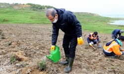 Eyüpsultan Lavanta Cenneti Oluyor