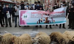 Sivas'ta İstanbul Sözleşmesi'nden çıkılmasına şükür kurbanı kestiler