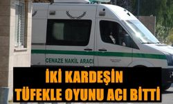 Giresun'da tüfekle oynayan çocuk kardeşini vurdu