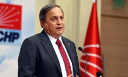 CHP Genel Başkan Yardımcısı Seyit Torun'dan Fındık Fiyatlarına Tepki!