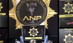 Adıyaman'da narkotik operasyonu