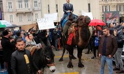 İstanbul Beyoğlu'nda aşı karşıtları deve ve eşek ile eylem yaptı
