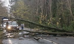 Meteoroloji ve AFAD fırtına uyarısı yaptı! İşte o bölgeler