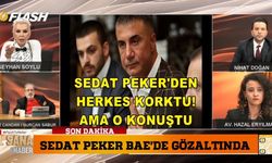 SİSİ Seyhan Soylu’dan flaş Sedat Peker açıklaması!
