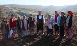 İzmit Belediyesi üreticiye danışmanlık hizmeti verecek