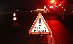 Elazığ'da kamyonetin çarptığı kişi hayatını kaybetti