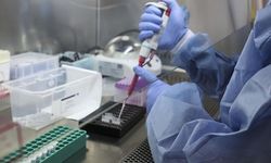 Japonya'da 7 çocukta daha gizemli hepatit görüldü