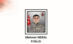 MSB duyurdu! Piyade Sözleşmeli Er Mehmet Meral şehit oldu