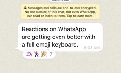 WhatsApp mesajlara emoji ile cevap verme özelliğini güncelledi!