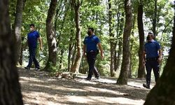 AFAD'dan 81 ile genelge! 31 Ağustos'a kadar yasak geldi