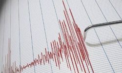 Muğla Köyceğiz'de deprem! 4,8 ile sallandı!