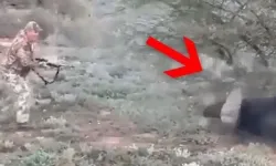 Avcılık Federasyonu Başkanı bufalo avlarken öldü