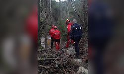 Manisa'da kekik toplamaya gittikten sonra kaybolan kadın ölü bulundu