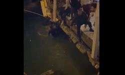 İstanbul Arnavutköy'de bir restoranın iskelesi çöktü! Bazı müşteriler denize düştü